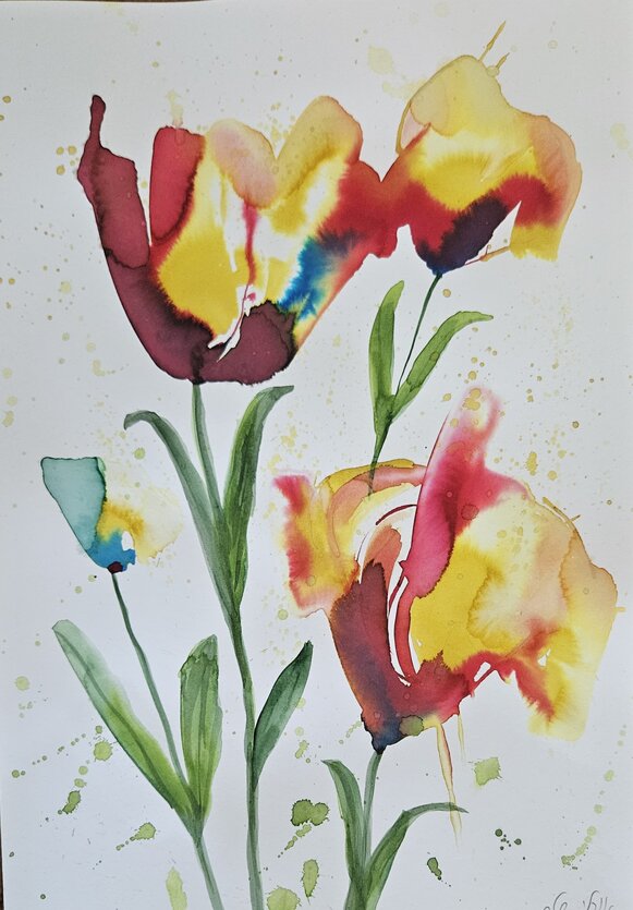 ����� �� 207 - 500 �"�    