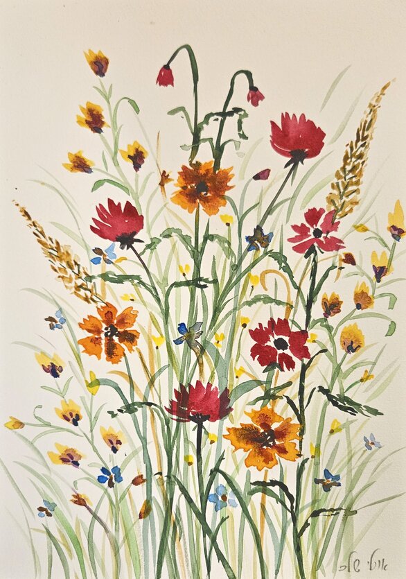 ����� �� 34 - 300 �"�
